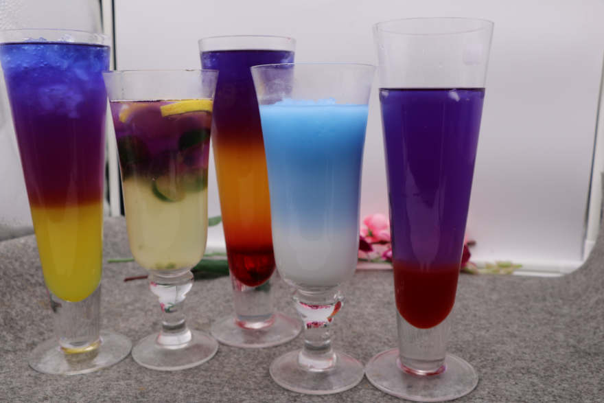 深圳泰国蝶豆花培训